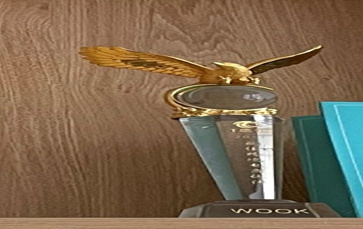 2017最佳跨境电商伙伴